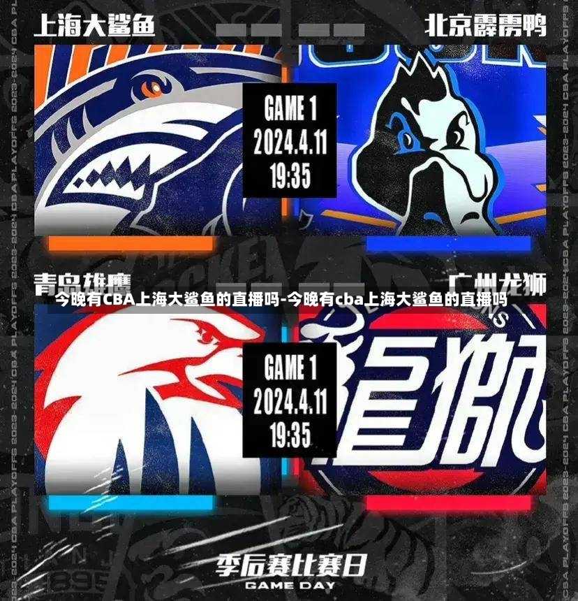 关注的球员